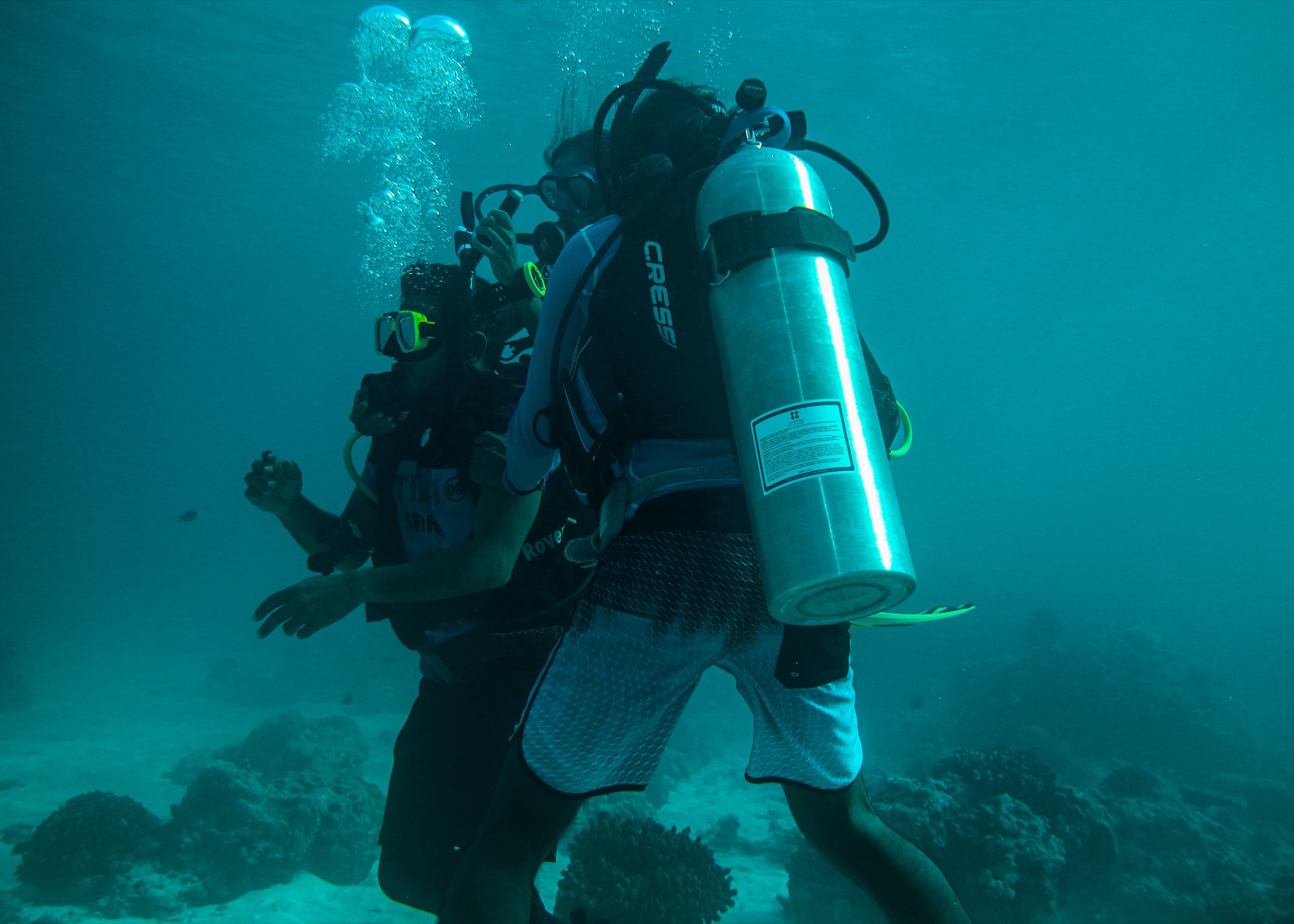 Underwater photography from a Mermaid Diving Center dive