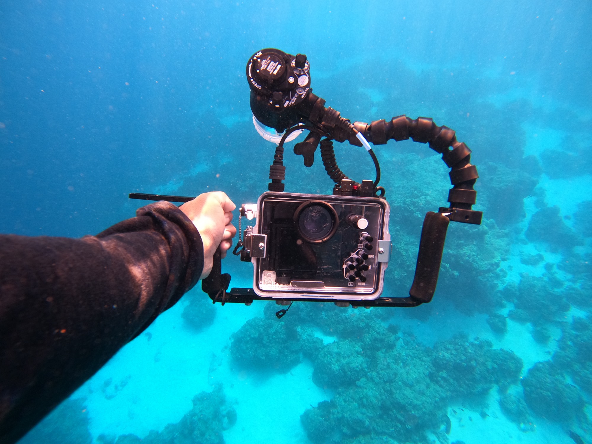 Underwater photography from a Mermaid Diving Center dive